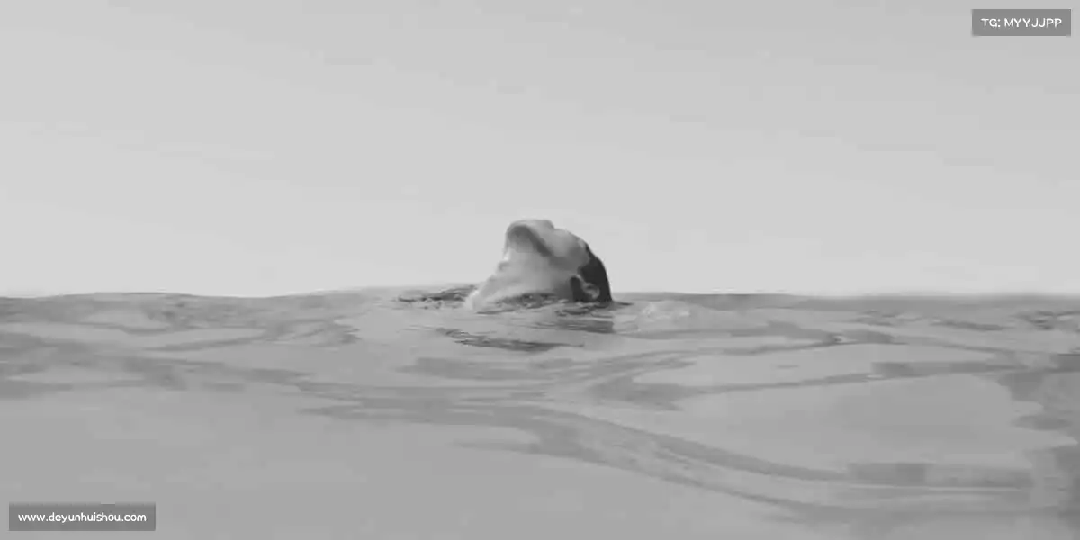 米兰官网🌟体育不止是运动,更是热爱生活的态度!